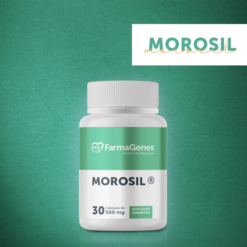 banner-morosil-1024x1024.webp