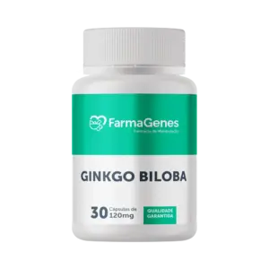 GINKGO BILOBA 120MG 60 DOSES