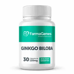 GINKGO BILOBA 120MG 60 DOSES